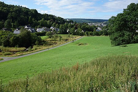 Landschaftsschutzgebiet Talraum südwestlich Meschede