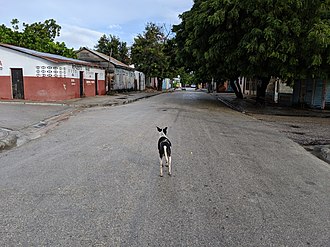 A street in Las Salinas. Las Salinas Street.jpg