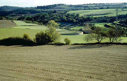 La Panadella - Montmaneu (Anoia), 15 de desembre de 2001