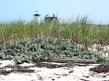 Lighthouse chatham.jpg