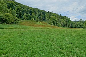 Lottstetten Nature Reserve Nacker Mühle Image 13.jpg