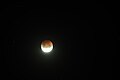 Lunar Eclipse May 2021 NSW (1).jpg