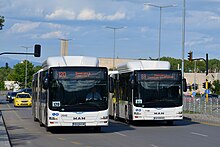 MAN Lion's city buses in Sofia on lines 83 & 120 MAN Lion's city buses in Sofia.jpg