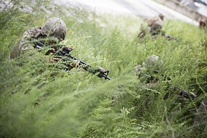 MCT Marines Conduct Final Field Exercise 150708-M-NT768-006.jpg