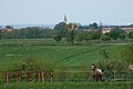 Čeština: Kůň, louka a vesnice Čejkovice v pozadí, Jihomoravský kraj English: View towards the village of Čejkovice from a meadow near Mackovice, South Moravian Region, CZ