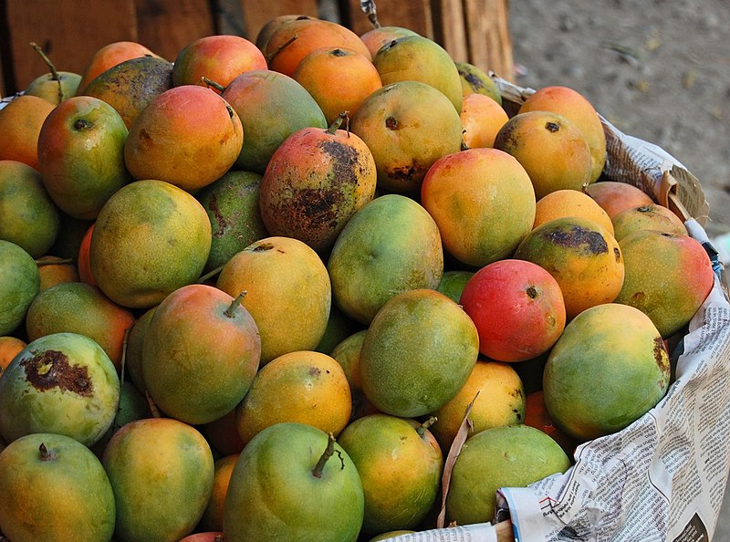 File:Mangga gedong gincu 071019-0833 tmo.jpg