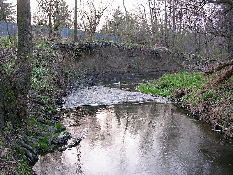 File:Meandry Botiče (05).jpg