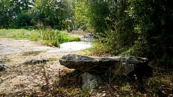 Menhir de la Fontaine Saint-Gré makalesinin açıklayıcı görüntüsü