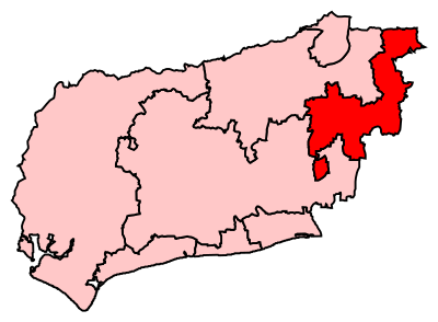MidSussex2007Constituency.svg