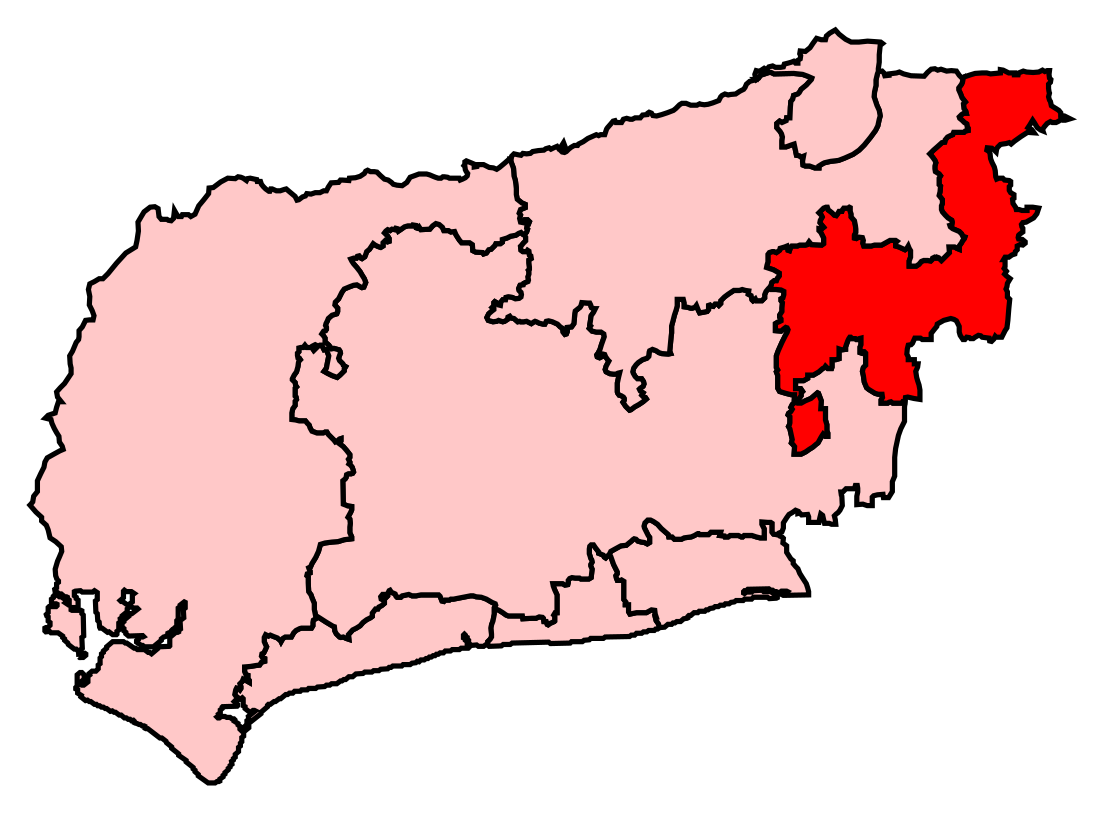 Mid Sussex (circonscription du Parlement britannique)