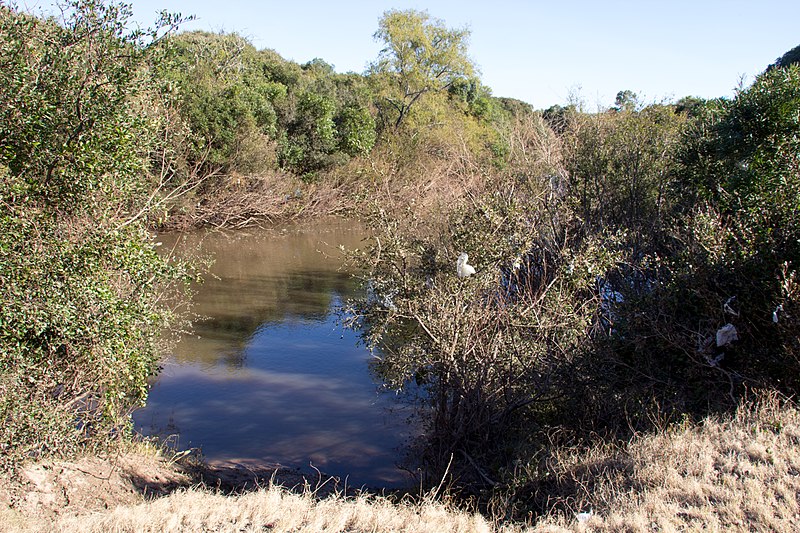 File:Minas de Corrales 2016 044.jpg