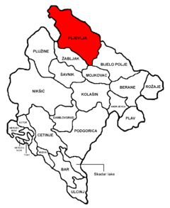 Monteneqro Pljevlja.png