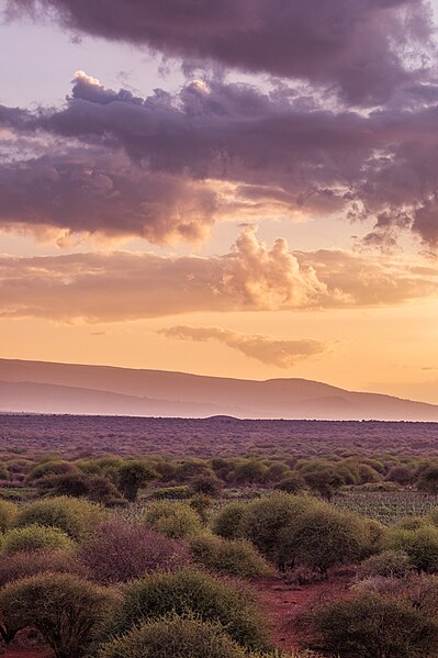 File:Mount Kilimanjaro Dormant Volcano In United Republic Of Tanzania kibo Mawenzi Shira Highest Peaks-38.jpg