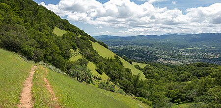 Mt Burdell Open Space