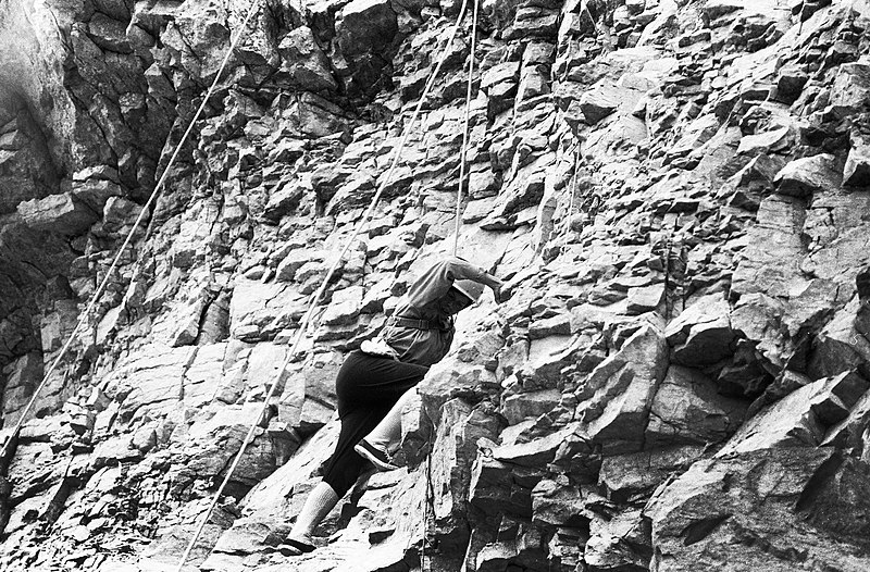 File:Mustjala pank. Siluri klint 74 (05).jpg
