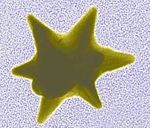 Une micrographie électronique d'une nanoparticule en forme d'étoile