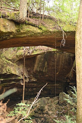 <span class="mw-page-title-main">Natural Bridge Park</span> Private park featuring a natural-arch rock formation.