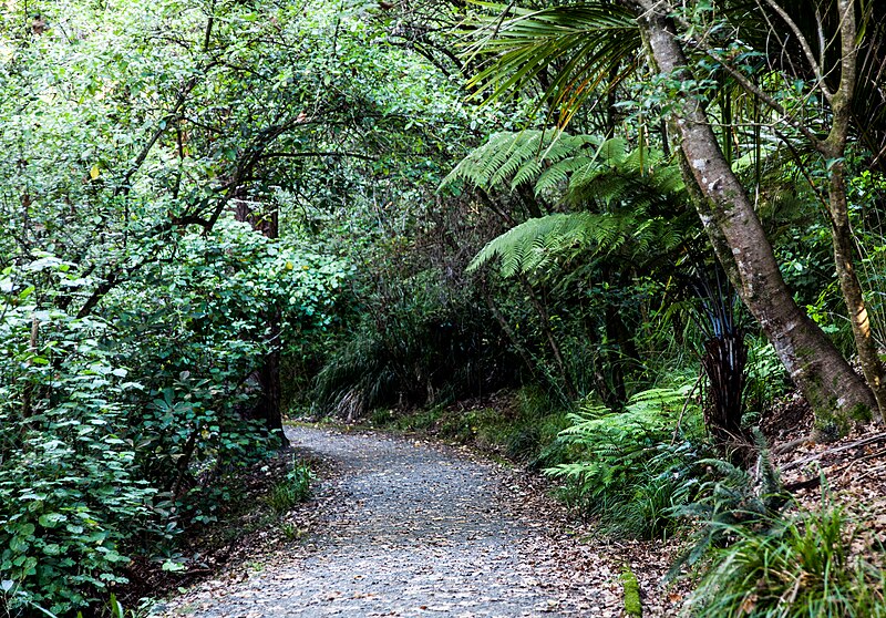 File:Nature walk at Auckland Domain 01.jpg
