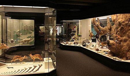 Naturmuseum Augsburg
