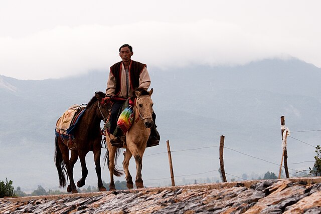 Poney du Yunnan de type Lijiang monté par un Naxi.