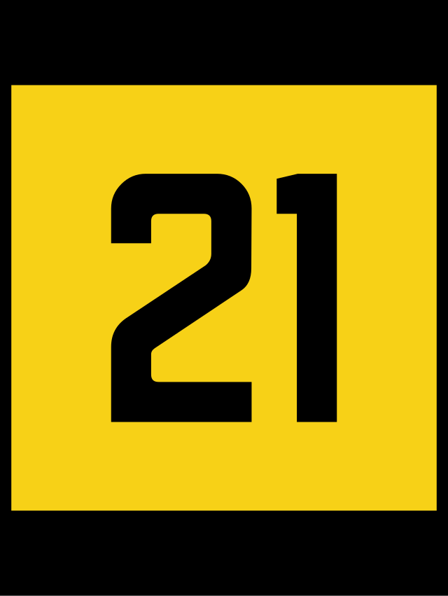 21 svg