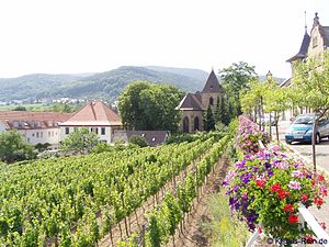 To the left of the center of the picture the Nebelberg, to the right behind the Weinbiet