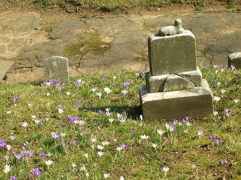 File:Oak Hill Cemetery (2896505968).jpg