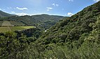 Orb River, Vieussan, Hérault 04.jpg