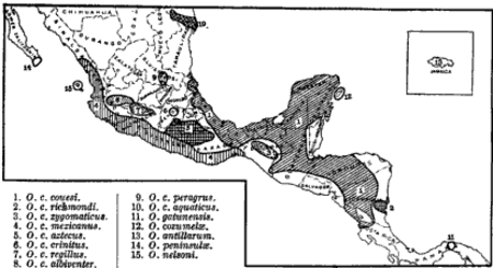 Tập_tin:Oryzomys_couesi_distribution_Goldman.png