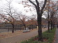 Osaka Castle Park.JPG