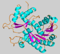 Thumbnail for Cinnamoyl-CoA reductase