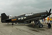 P-51A-1NA Polar Bear 1.jpg