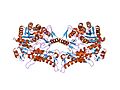 Thumbnail for Formate–tetrahydrofolate ligase