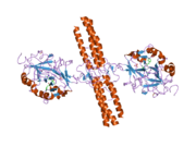 PDB 2a45 EBI.png