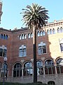 Dues palmeres a l'entrada de l'Hospital de Sant Pau, arbres d'interès local de Barcelona.