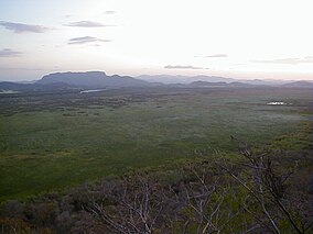 Parque Nacional Palo Verde things to do in Guanacaste Province