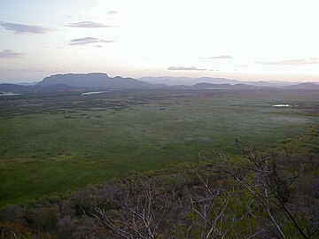 Palo Verde Nationalpark.  Beliggende i det nedre bassin af Tempisque-floden, et vigtigt ynglested for både vandrende og fastboende vandfugle.  Vegetationen viser vekslen mellem mangrove, forskellige skove af stedsegrønne, oversvømmede, blandede, løvfældende slette, flodbredder og græsarealer.