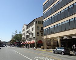 Palo Alto California street view.jpg