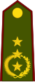 Paraguai-Exército-OF-8.svg