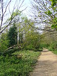 Parkland Walk