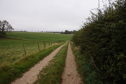 Path towards Wauldby Manor (geograph 6686407)