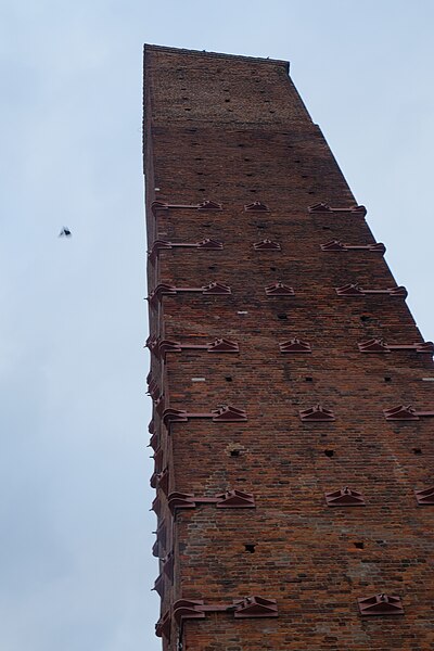 File:Pavia - Torre dell'Università.jpg