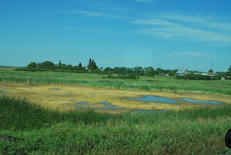 File:Paysages du Canadien01.JPG