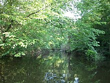 Pelahatchie Creek in May, 2012 Pelahatchie Creek, May 2012.jpg