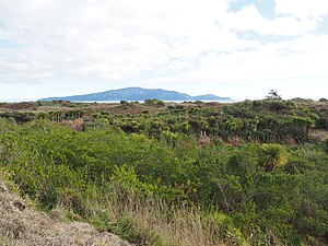 View of Kapiti Island from dunelands