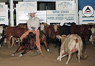 <span class="mw-page-title-main">Phil Rapp</span> Cutting horse trainer and inductee in the NCHA Rider Hall of Fame.