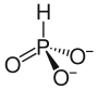 Structure of the phosphite ion