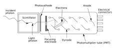 Schematic of a photomultiplier tube coupled to a scintillator. Photomultipliertube.svg