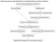 Pipeline for genome-wide identification of candidate Helitrons and their verification Pipeline for genome-wide identification of candidate Helitrons and their verification.PNG