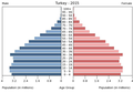 Українська: Віково-статева піраміда населення Туреччини за 2015 рік. Вона дає наочне уявлення про вікову і статеву структура населення країни, може слугувати джерелом інформації про політичну і соціальну стабільність, економічний розвиток. Блакитними кольорами ліворуч, у вигляді горизонтальних смуг показані вікові групи (по 5 років кожна) чоловічої статі, праворуч рожевими — жіночої. Наймолодші вікові групи — внизу, найстаріші — вгорі. Форма піраміди поступово еволюціонує з плином часу під впливом чинників народжуваності, смертності і світової міграції.